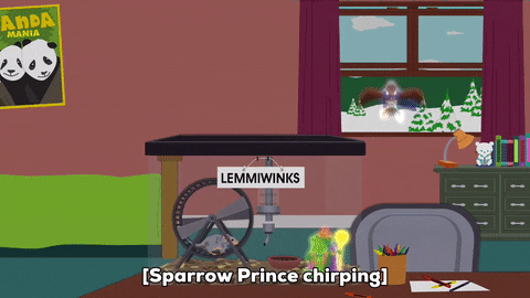 Bird Hamster GIF by South Park - Find & Share on GIPHY