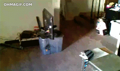 imagenes gif,imagenes graciosas, las mejores imagenes, imagenes graciosas, chistes, risas