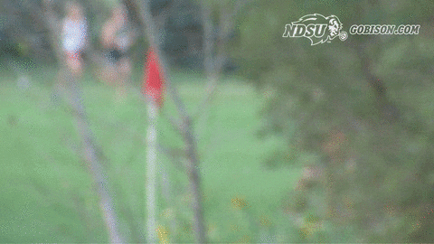 North Dakota State Bison GIF by NDSU Athletics