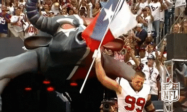 Houston Texans Texas GIF by NFL - Find & Share on GIPHY
