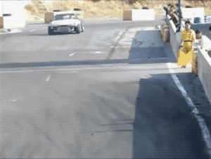 Talented Driver in funny gifs