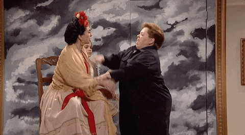 Melissa Mccarthy Fight GIF by Saturday Night Live - Find & Share on GIPHY