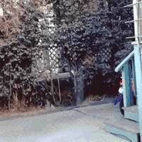 external_gif