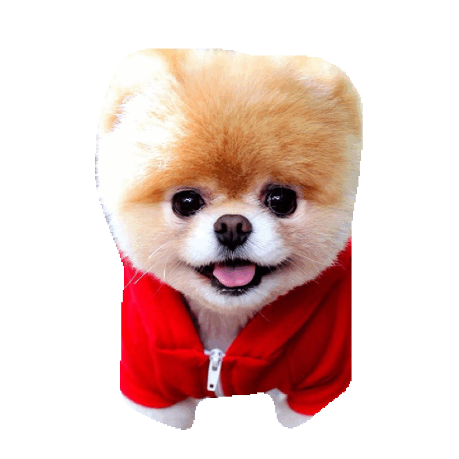 Boo GIF by imoji for iOS & Android GIPHY