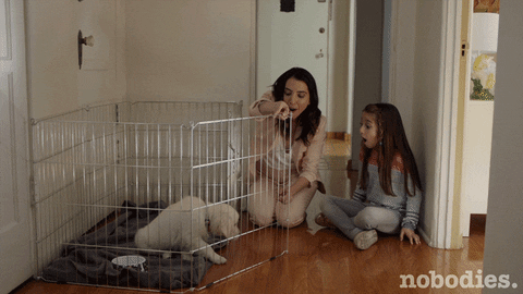 Tv Land Dog GIF by nobodies. - Find & Share on GIPHY