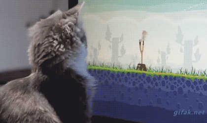 Cat And Angry Bird in funny gifs