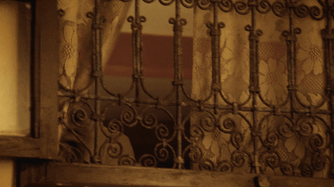 Peek GIFs - Find & Share on GIPHY