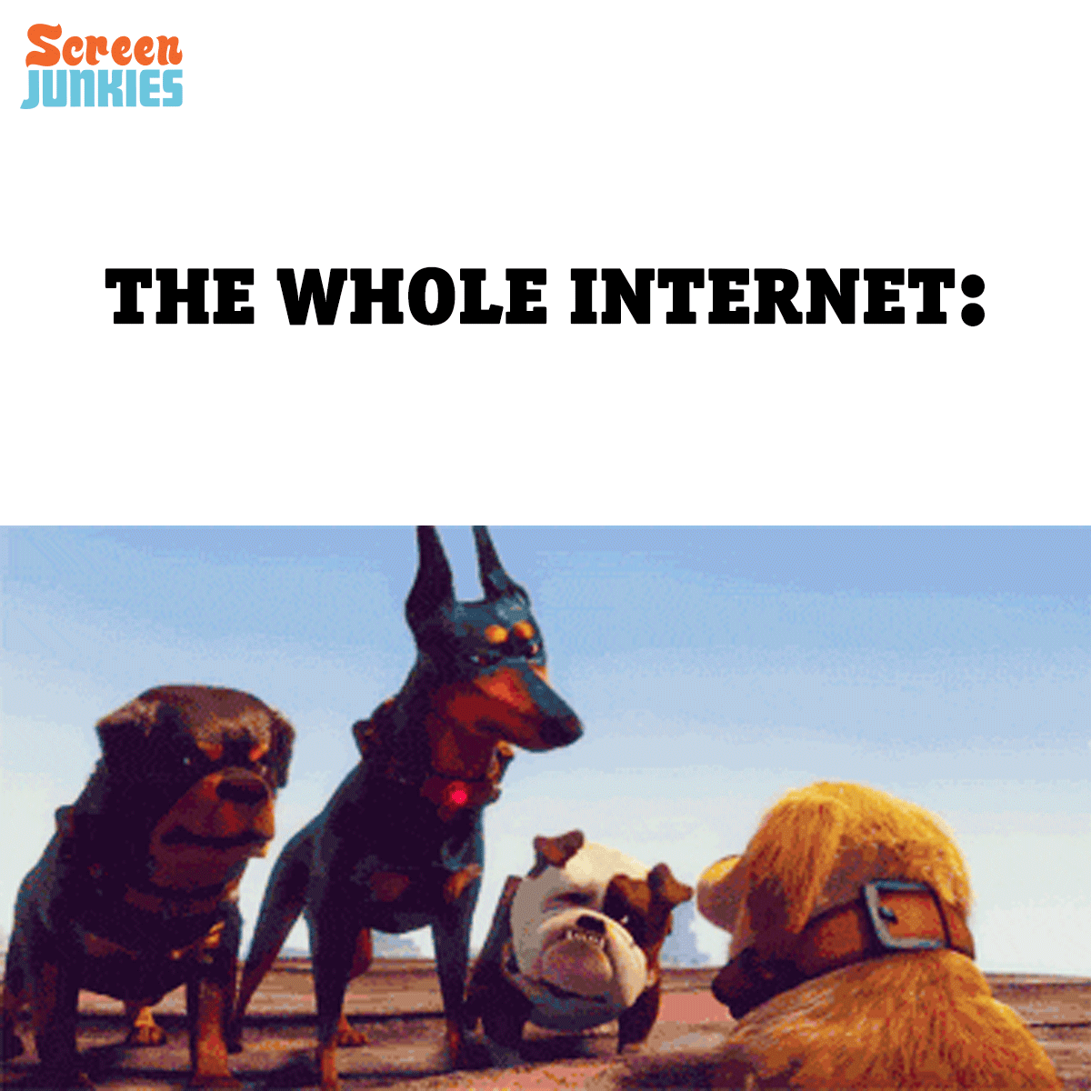 source.gif