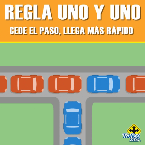 Consejos GIF by traficozmg