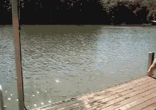 external_gif