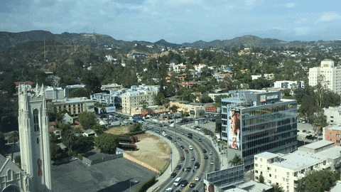 Los Angeles Hollywood GIF - Find & Share on GIPHY