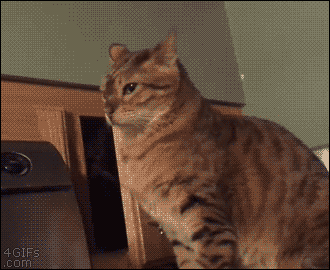 Stealth Mode in funny gifs