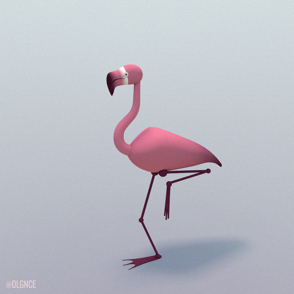 gotta go flamingo gif
