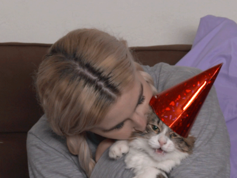 HelloGiggles cat celebration forever alone newyearseve