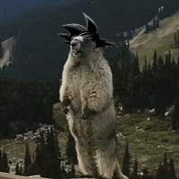 200_s.gif