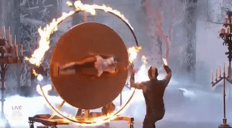 giphy.gif