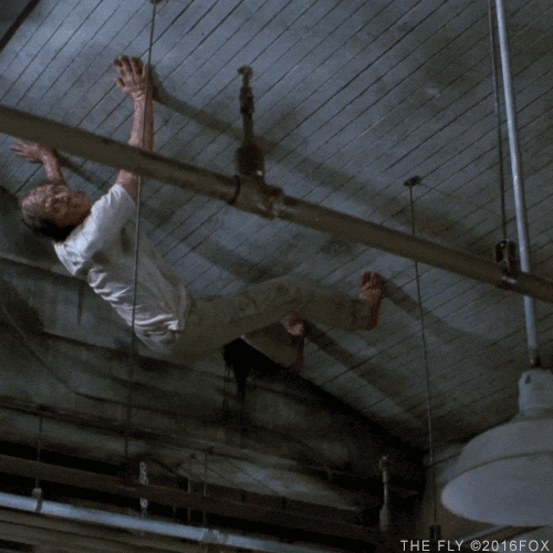 Jeff Goldblum GIF by foxhorror Find & Share on GIPHY