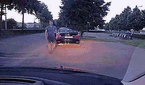 giphy.gif