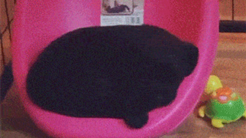 Sleeping Time best Gif