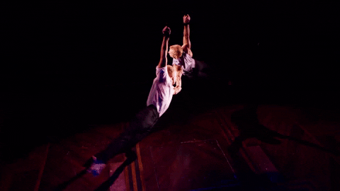 Soar GIF by Paramour on Broadway