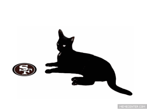 49ers-Panthers.jpg