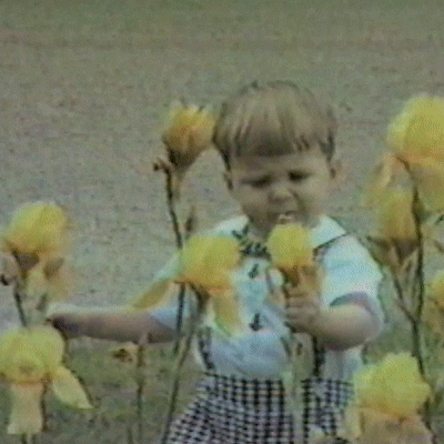 America's Funniest Home Videos fail baby fall flowers