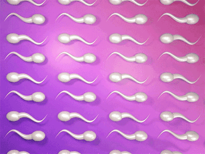 Sperm GIF by Nate Makuch - Find & Share on GIPHY