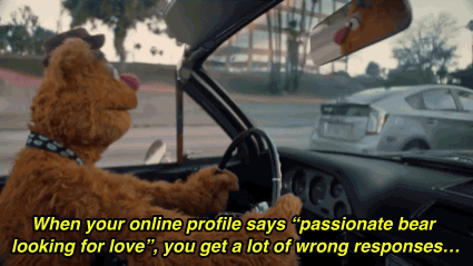 Fozzie bear online dating