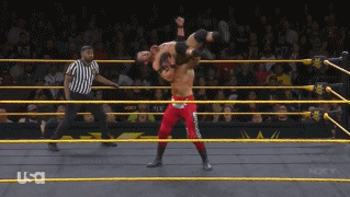 NXT (25 de diciembre 2019) | Resultados en vivo | Roderick Strong defiende el título 7