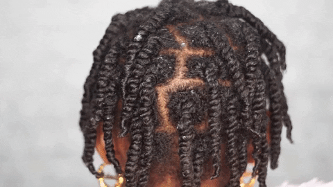 a GIF of the back of a natural's hair, sectioned in twists