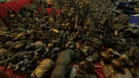 New Delhi GIF by bypriyashah