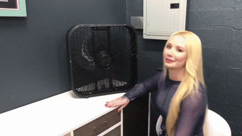 giphy.gif