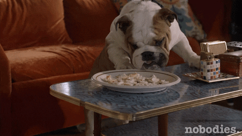 Dog Food GIFs - Find & Share on GIPHY