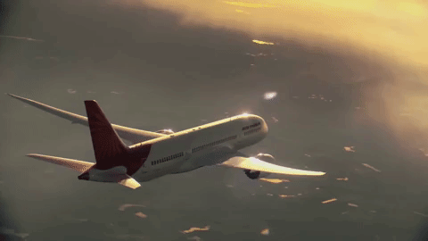 Air India GIF