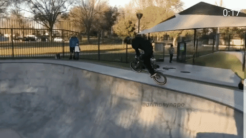 giphy.gif