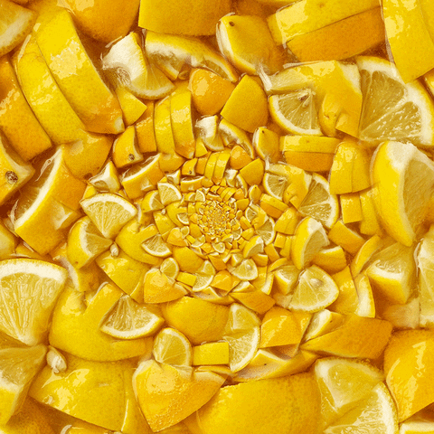 Soak Lemon Pie GIF by Feliks Tomasz Konczakowski - Find & Share on GIPHY