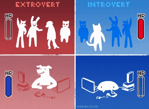  the best visualization of introvert vs extrovert GIF