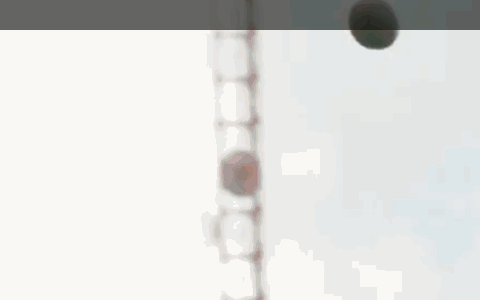 [Image: giphy.gif]