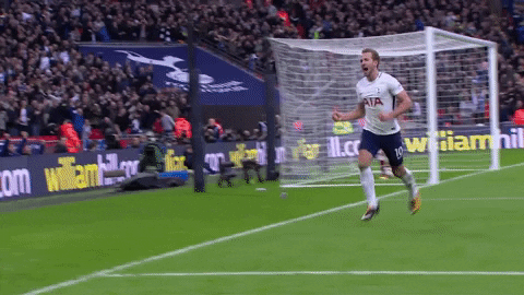 Harry Kane Football GIF - Find & Share on GIPHY