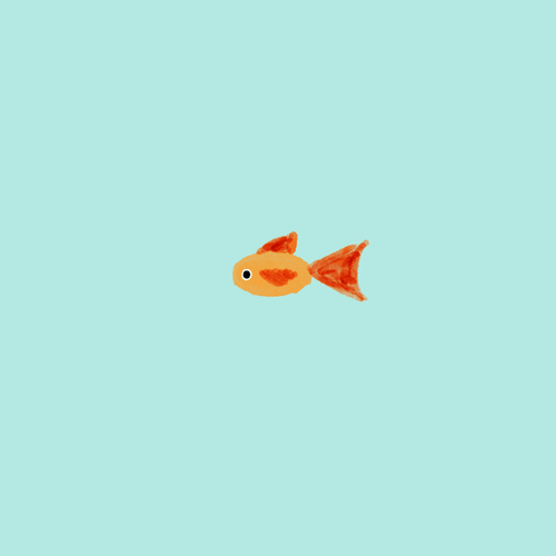 goldfish swimming gif