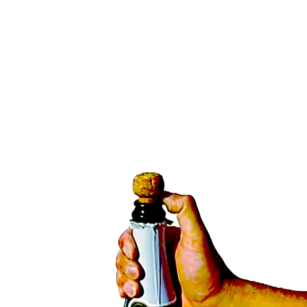 giphy.gif
