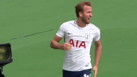 Tottenham Hotspur GIF - Find & Share on GIPHY