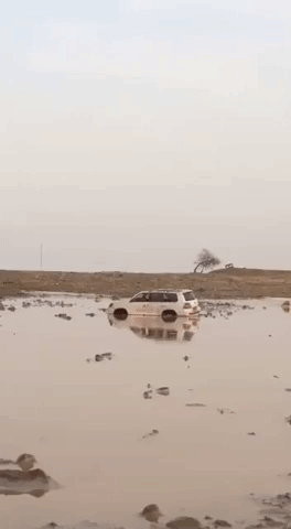 Clever Driver in funny gifs