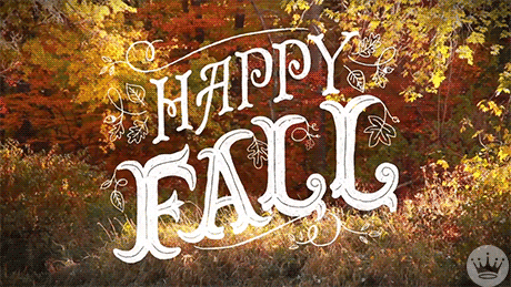 Happy Fall GIFs - Get the best GIF on GIPHY