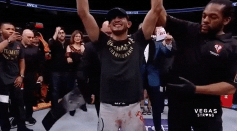 UFC GIF - Find & Share on GIPHY