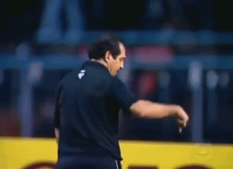 Muricy Ramalho GIF by São Paulo FC