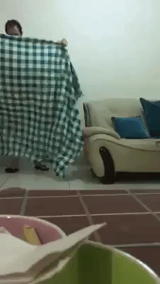 Best Magician Ever in funny gifs