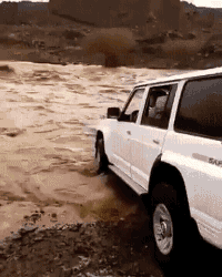 Dont Drive In Flood in funny gifs
