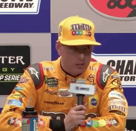 Kyle Busch No GIF by NASCAR - Find & Share on GIPHY