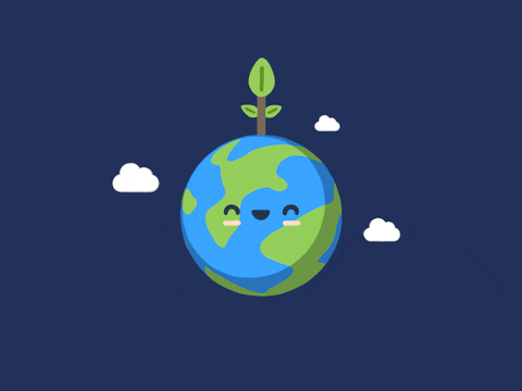Earth Eco Salon
